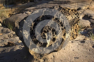 Fossils Park in Gujarat photo